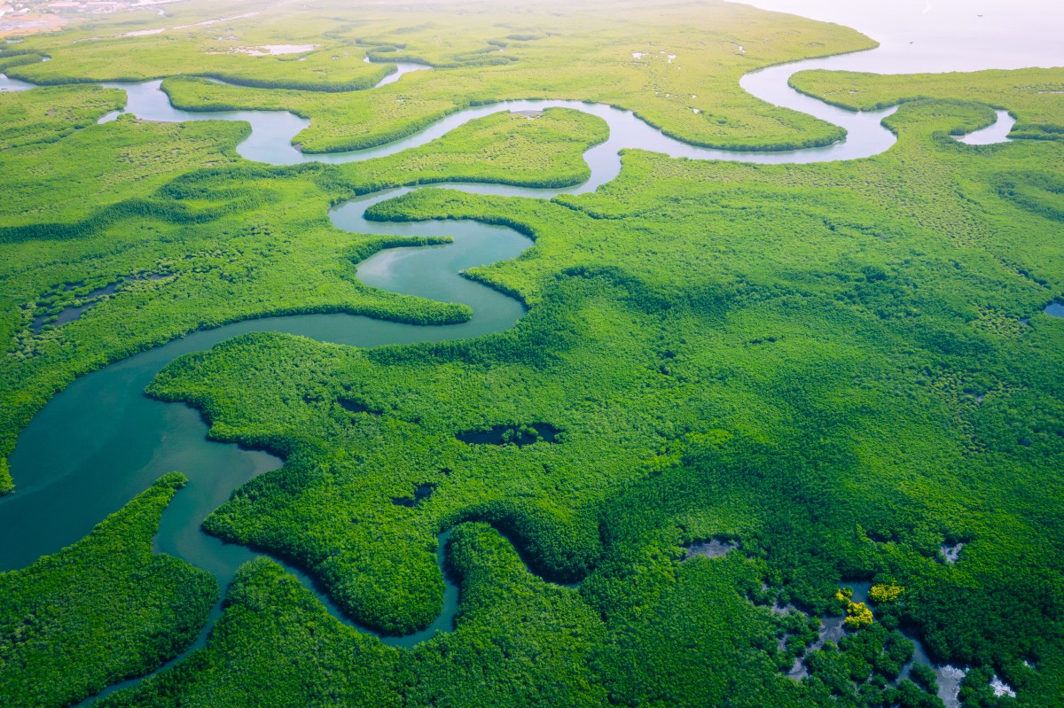 Meanders (meandro)